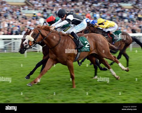 gimcrack stakes|Iba pa.